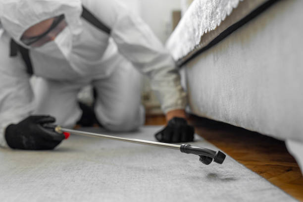 Professional Bed Bug Control technician working in June Park, FL