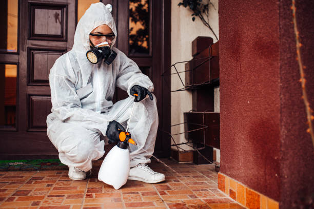 Reliable Bed Bug Control contractor in June Park, FL by Nex Pest Control